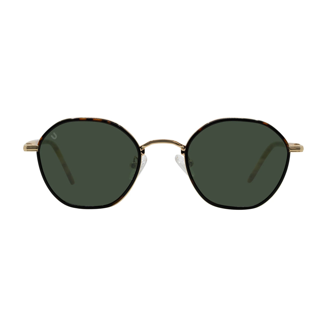 Dome - Tortoise light smoke / دوم - سلحفاة دخاني فاتح