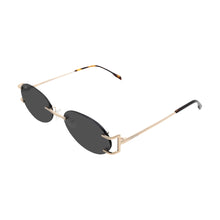 Load image into Gallery viewer, Dent - Gold / Black Smoke
